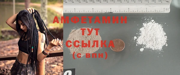 сатива Заволжье