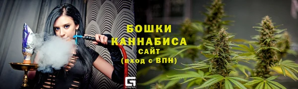сатива Заволжье