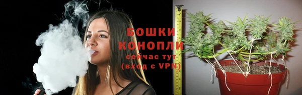 сатива Заволжье