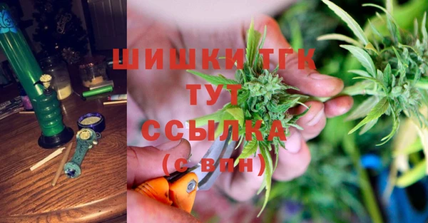 сатива Заволжье