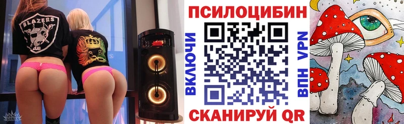 Псилоцибиновые грибы Cubensis  Купить закладки  Невинномысск 